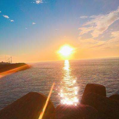 365平台官方版下载下载手机版