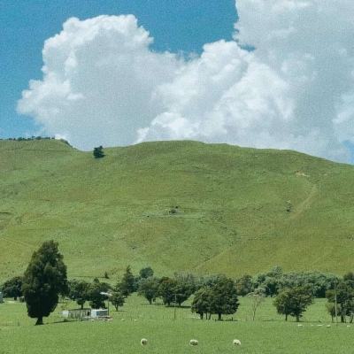 365平台下载app下载