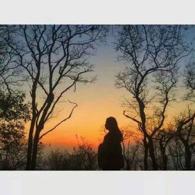 bat软件下载官方