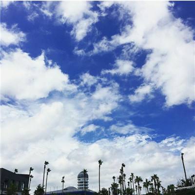 大众彩票入口welcome手机app下载