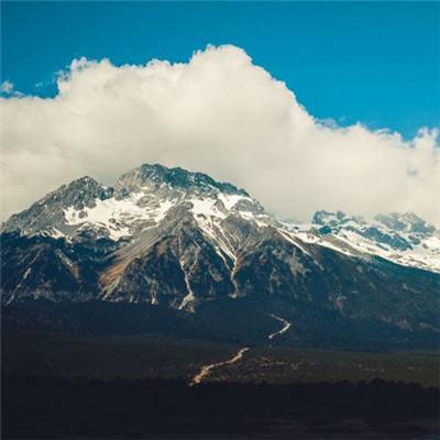 澳门一码一肖一特一中下载手机版