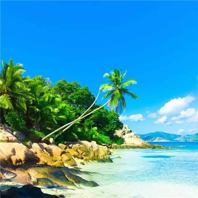 泛亚电竞APP最新版