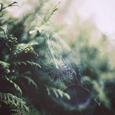 新万博在线体育