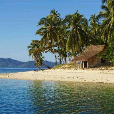 365平台官方版下载下载手机版