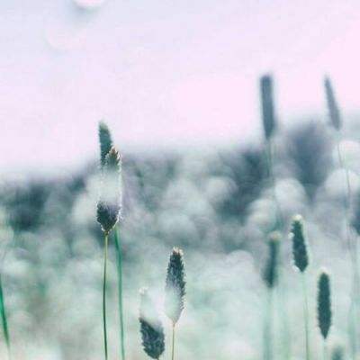 星空体育手机app下载